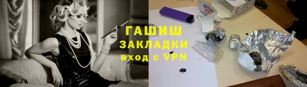 индика Алзамай