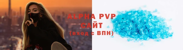прущие грибы Семикаракорск