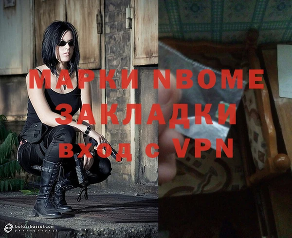 прущие грибы Семикаракорск