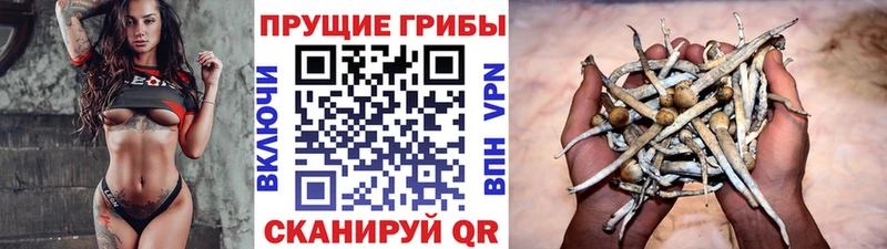 это наркотические препараты  Инза  Псилоцибиновые грибы Psilocybine cubensis 